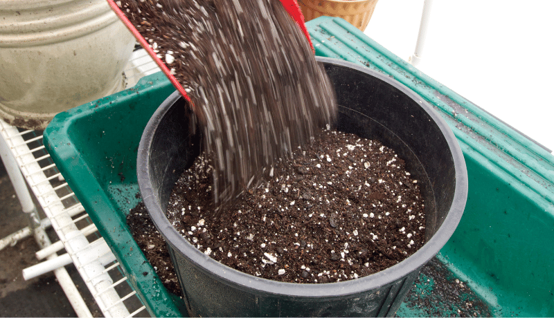 How to Make Potting Soil from Dirt