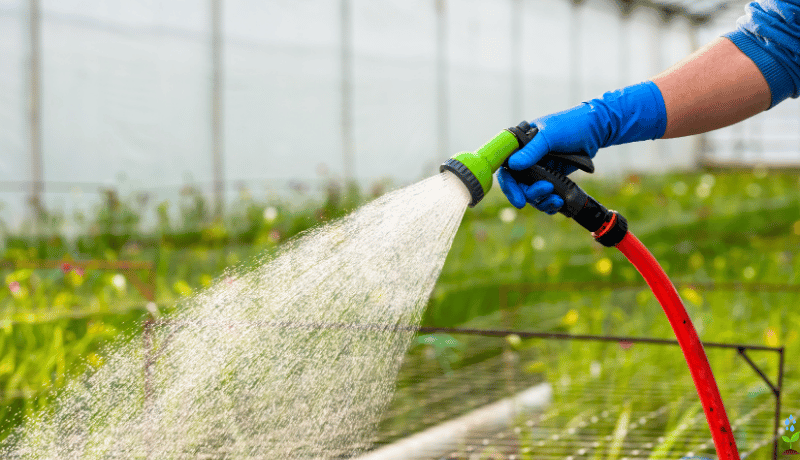 How to Water Plants While on Vacation