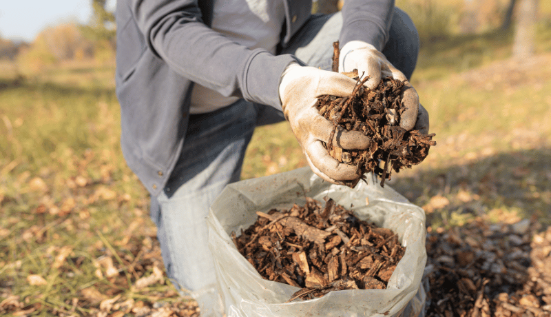 How Many Bags of Mulch on a Pallet