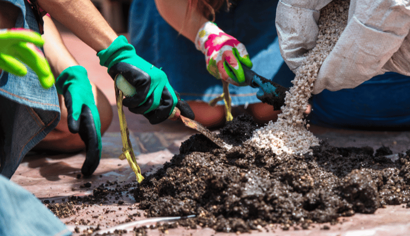 garden mix soil