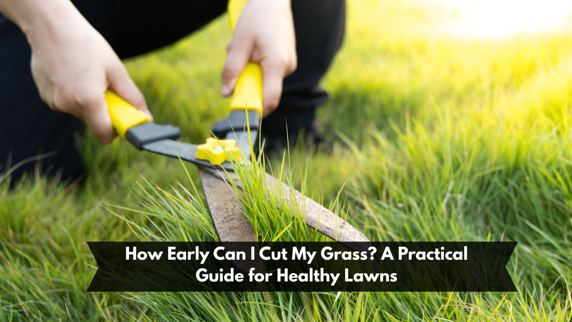 How Early Can I Cut My Grass? A Practical Guide for Healthy Lawns