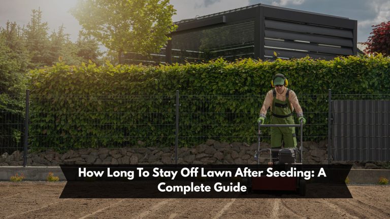 How Long To Stay Off Lawn After Seeding: A Complete Guide