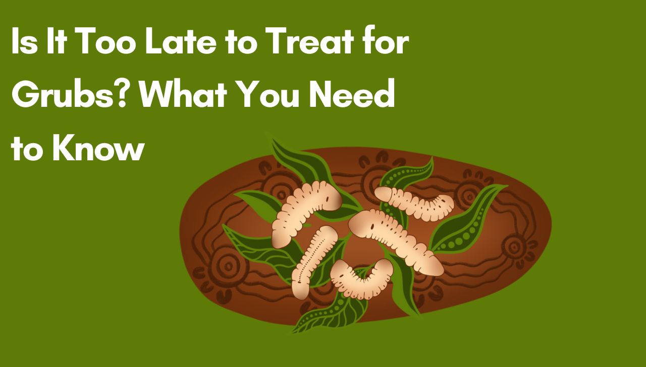 Is It Too Late to Treat for Grubs? What You Need to Know
