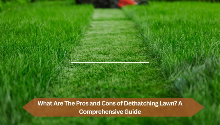 What Are The Pros and Cons of Dethatching Lawn? A Comprehensive Guide