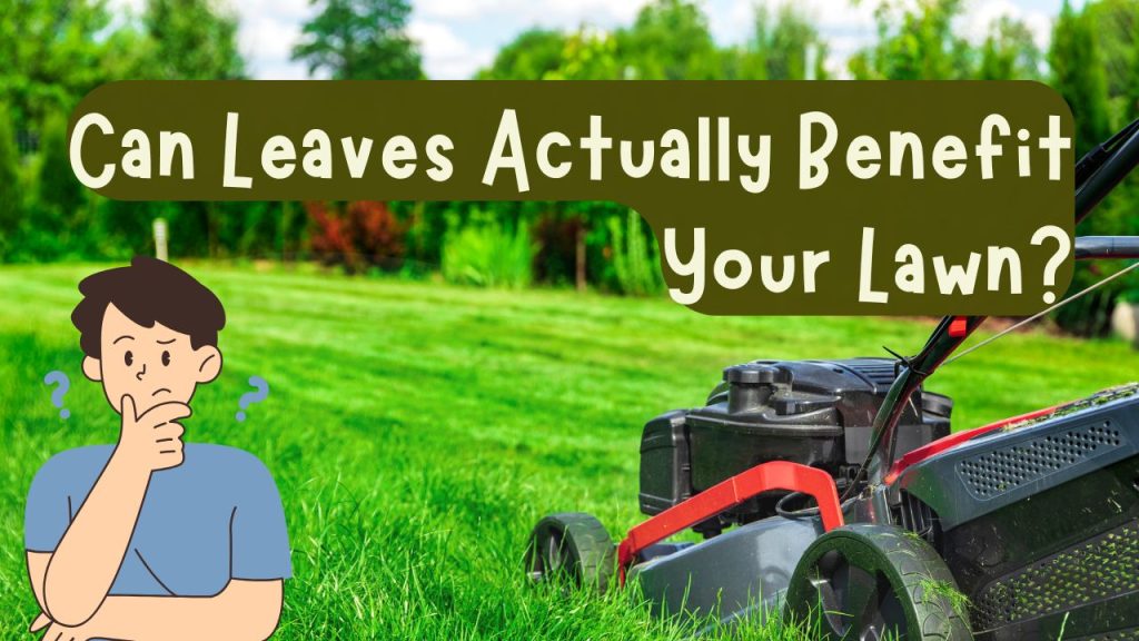 Can Leaves Actually Benefit Your Lawn?