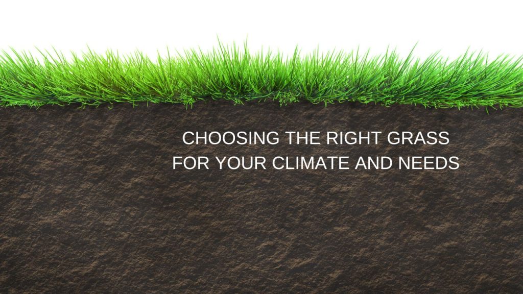 Choosing the Right Grass for Your Climate and Needs