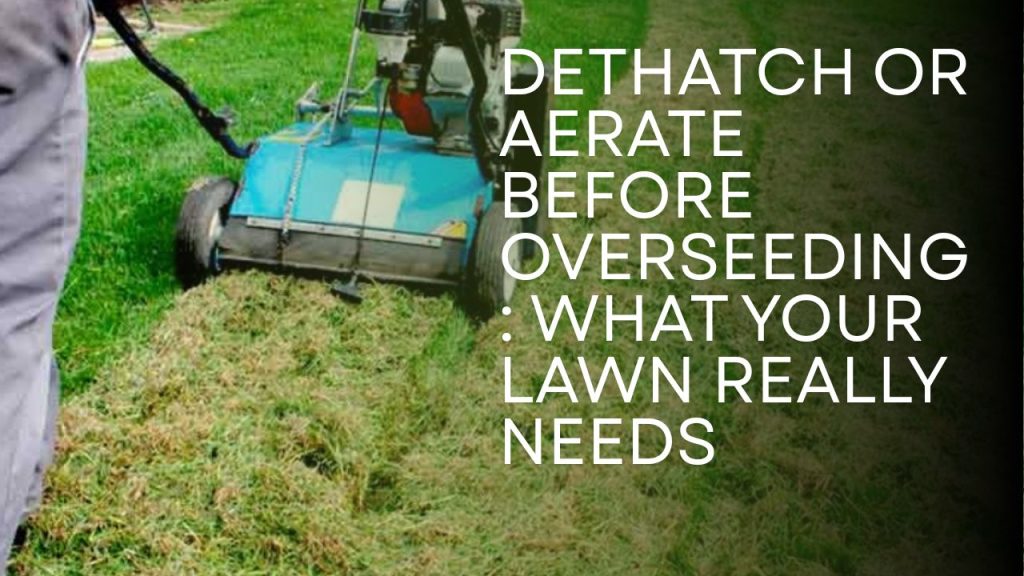 Dethatch or Aerate Before Overseeding: What Your Lawn Really Needs