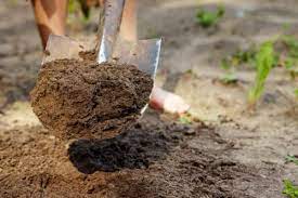 Is Clay Soil Acidic