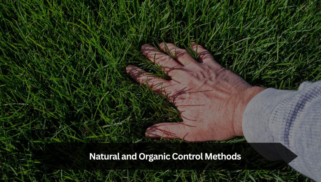 Natural and Organic Control Methods