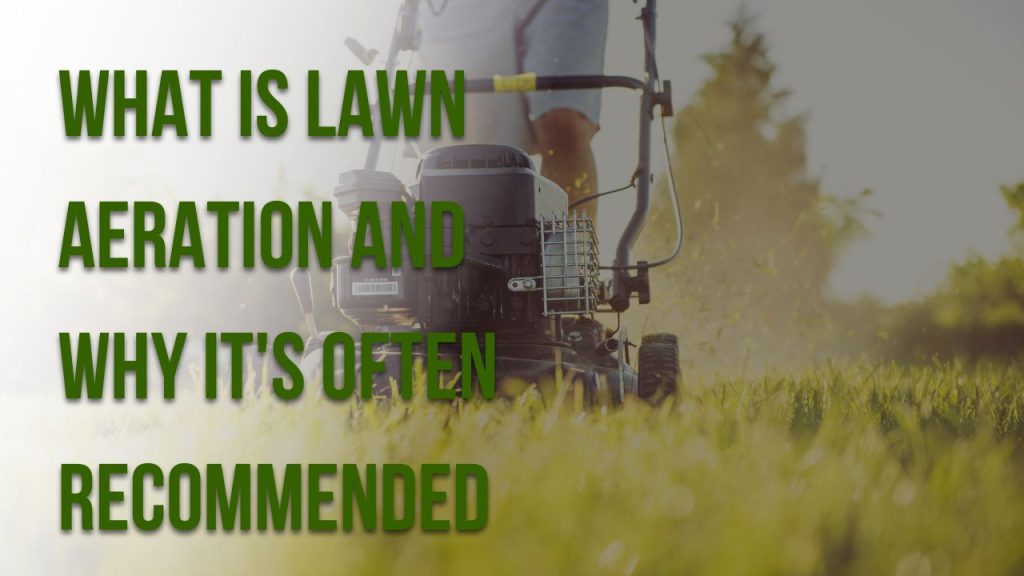 What Is Lawn Aeration and Why It's Often Recommended