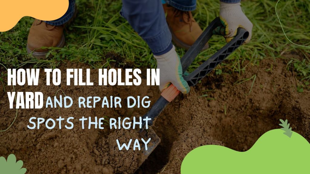 How to Fill Holes in Yard and Repair Dig Spots the Right Way