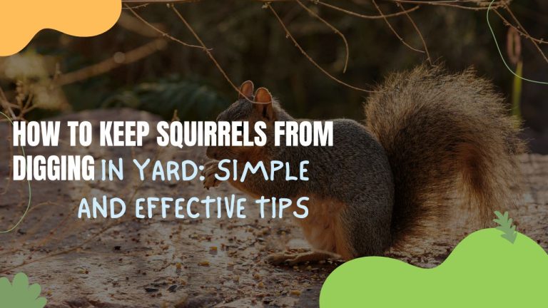 How to Keep Squirrels From Digging in Yard: Simple and Effective Tips