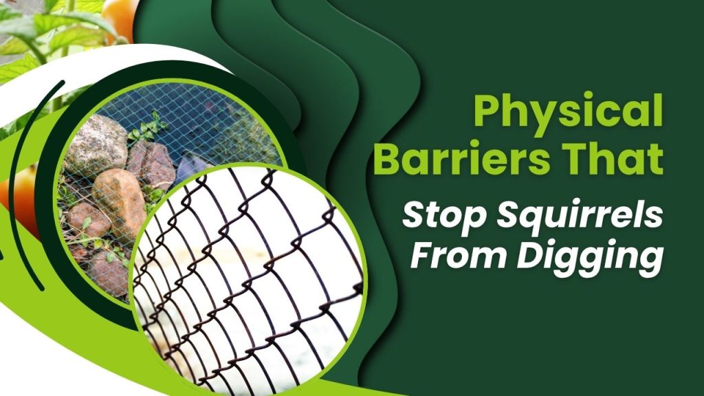 Physical Barriers That Stop Squirrels From Digging