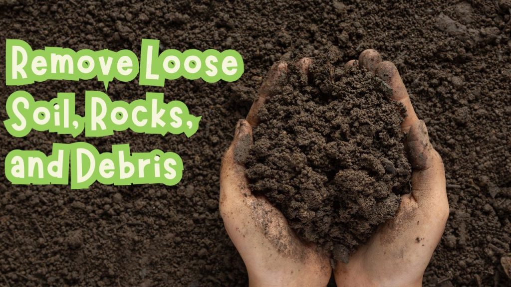 Remove Loose Soil, Rocks, and Debris