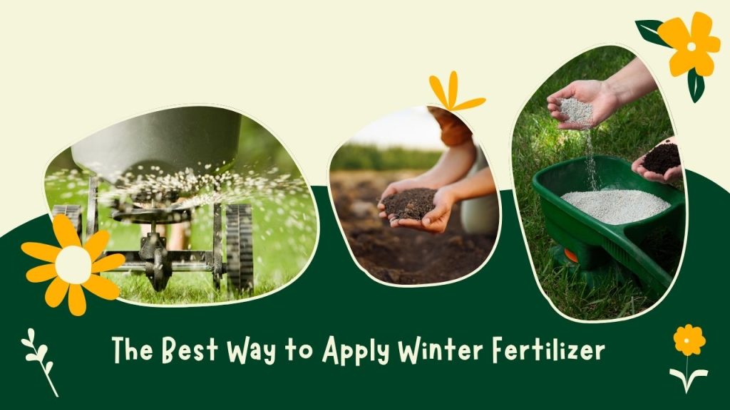 The Best Way to Apply Winter Fertilizer